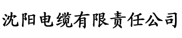 丝袜magnet电缆厂logo